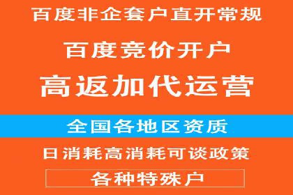 行业专家解析SEM代运营成功案例